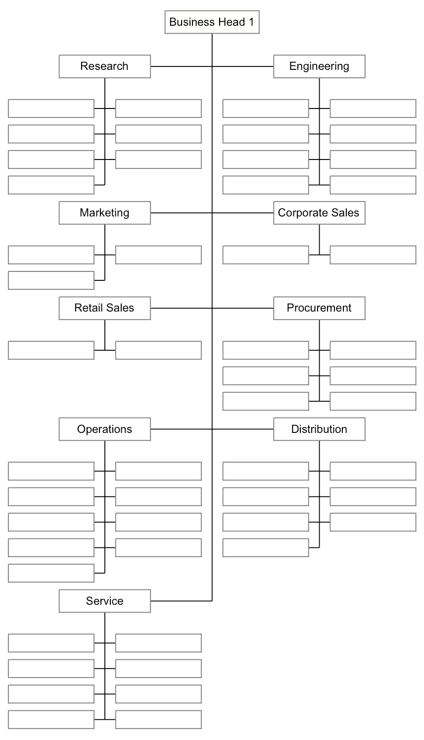 Business Head 1's organization: Research, Engineering, Marketing, Corporate Sales, Retail Sales, Procurement, Operations, Distribution and Service branches, each with unlabeled direct-report boxes below.